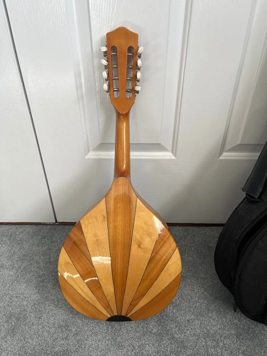 Amada Mandolin - Image 4
