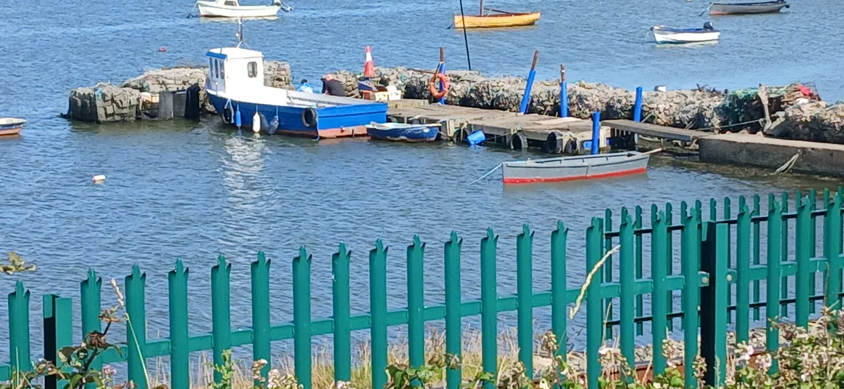 Boat Half Decker - Image 4