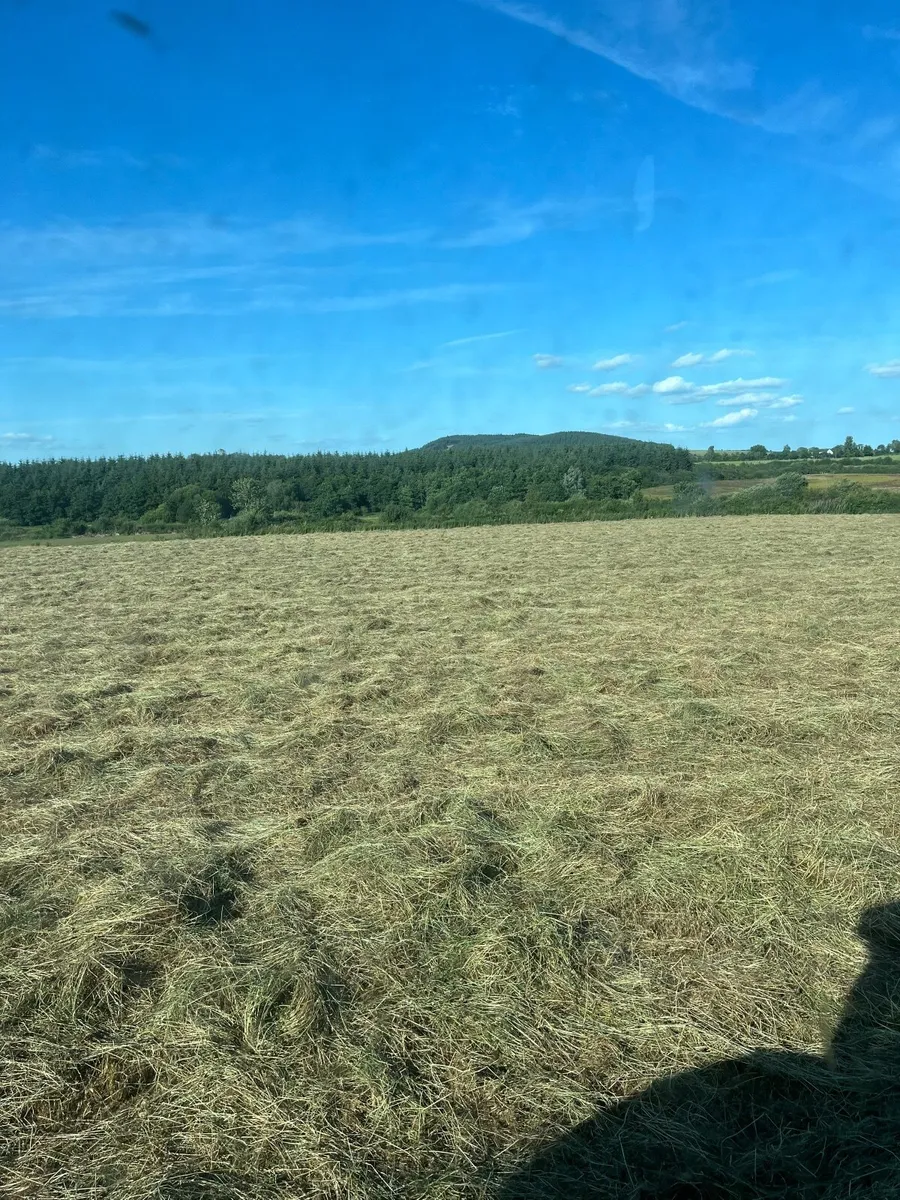 First crop hay & haybob - Image 1
