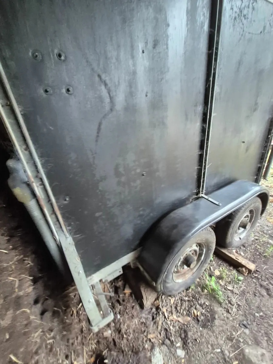 Horse Box Trailer - Image 2
