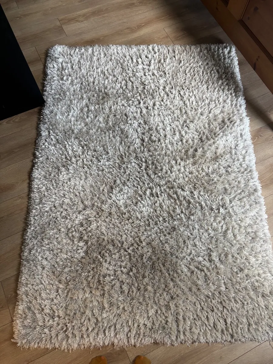 Silver/Grey Shag Rug - Image 1