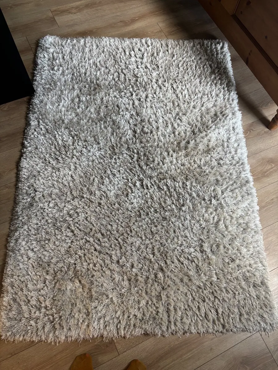 Silver/Grey Shag Rug - Image 2