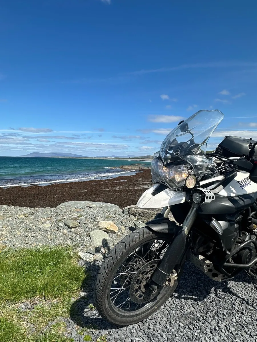 Triumph tiger 800 xc 2011 - Image 1