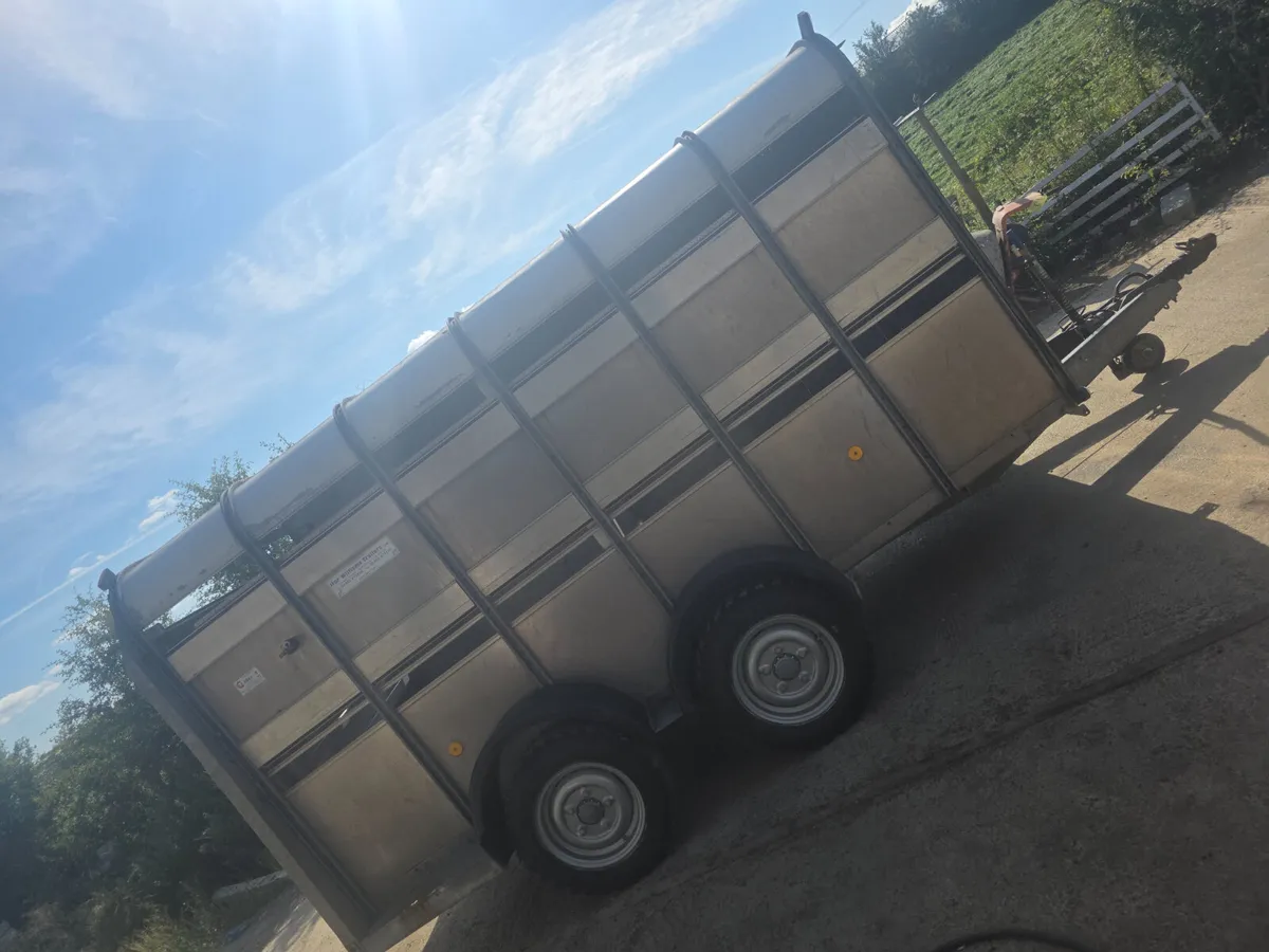 12ft ifor Williams livestock trailer - Image 2