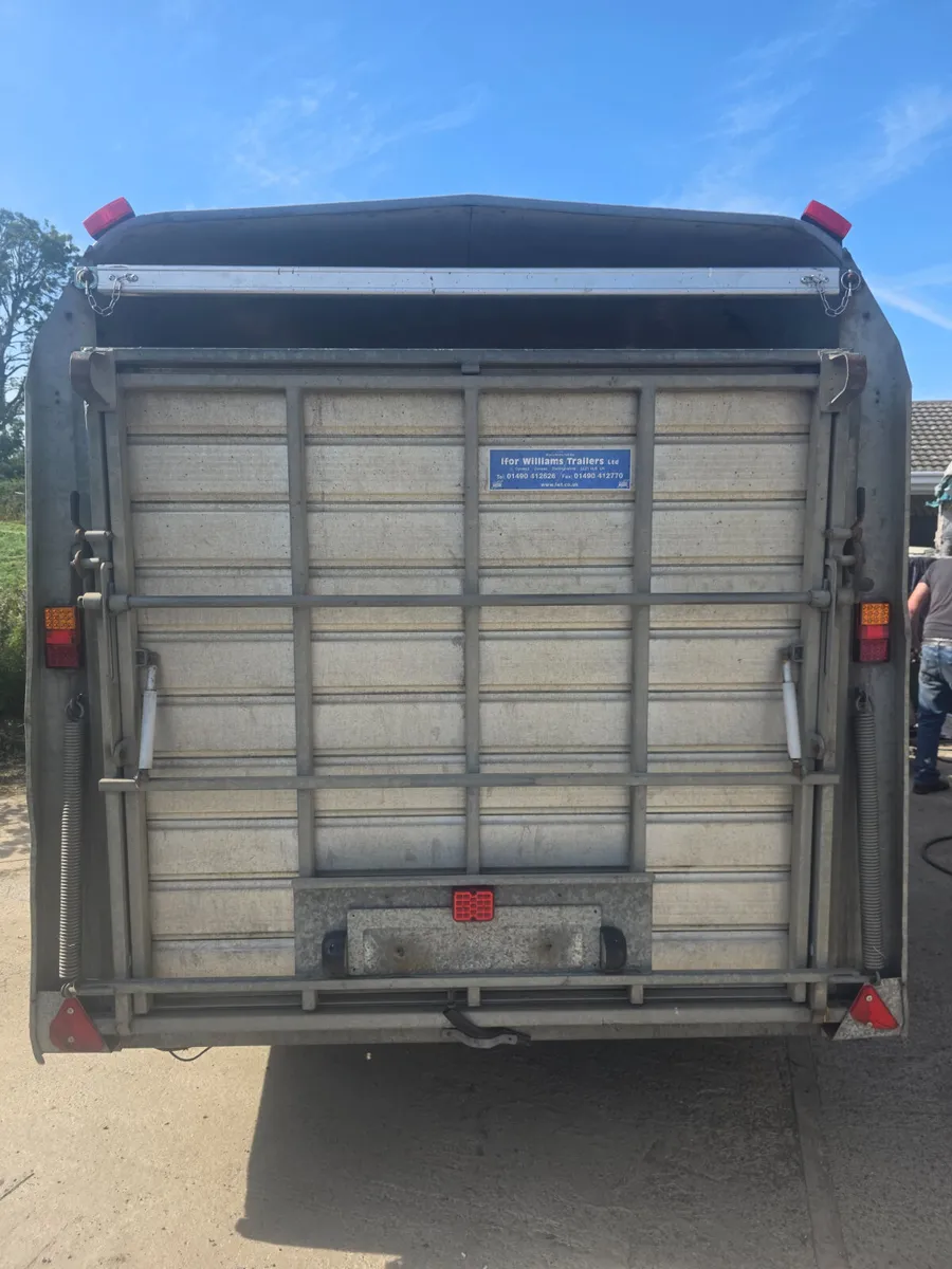 12ft ifor Williams livestock trailer - Image 3