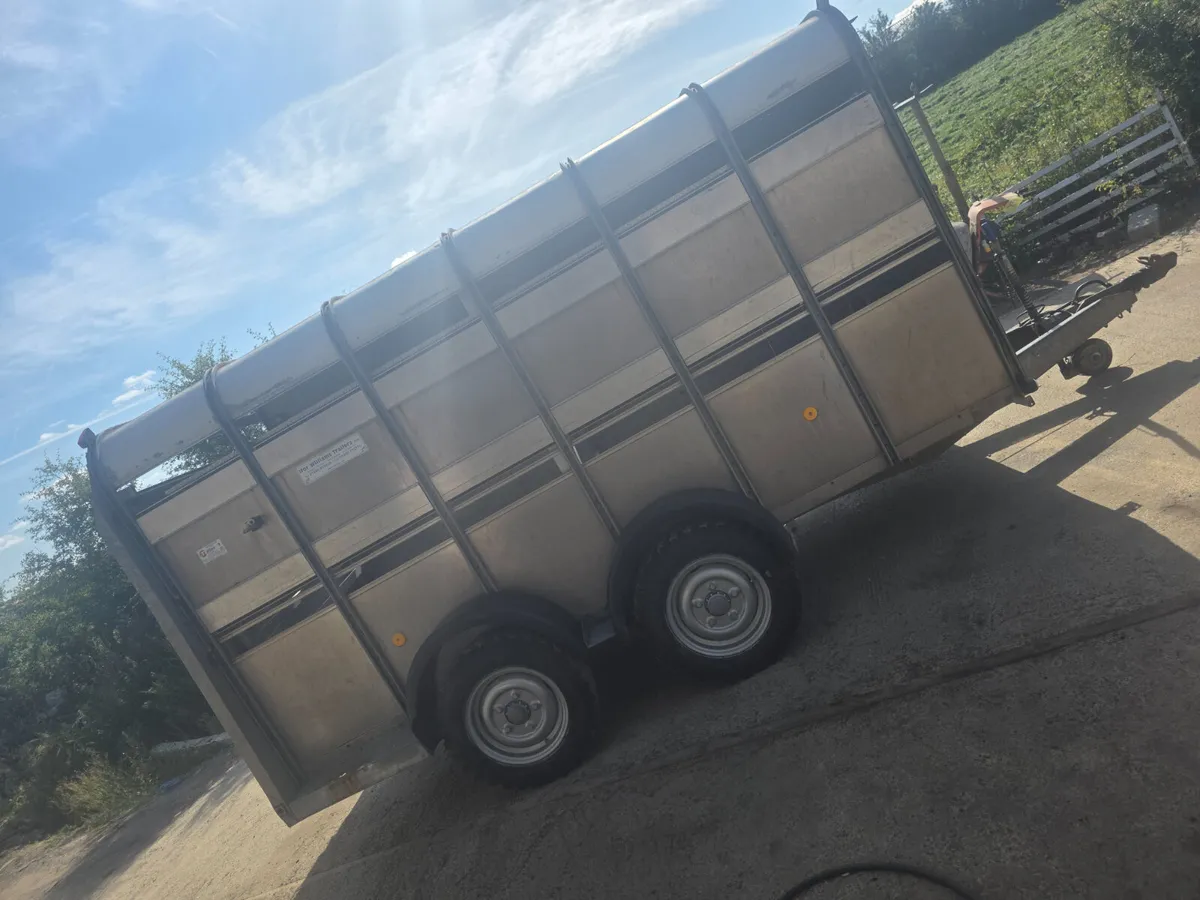 12ft ifor Williams livestock trailer - Image 4