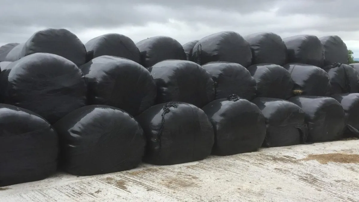 Wanted Round Bales of Dry Silage