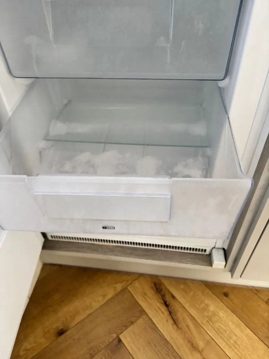 Built in Fridge and Freezer - Image 4