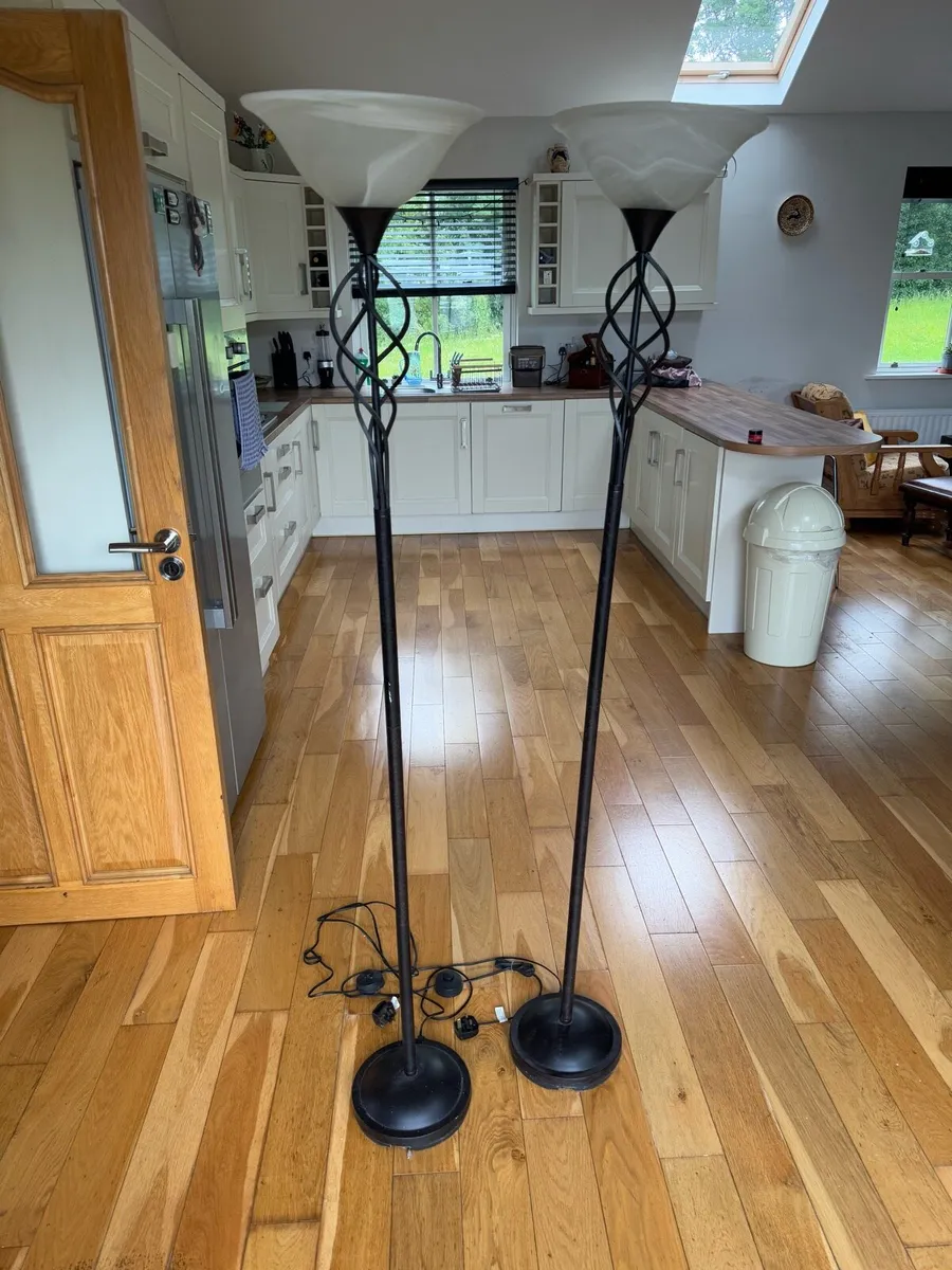 Floor lamps - wrought iron & frosted glass shades - Image 2