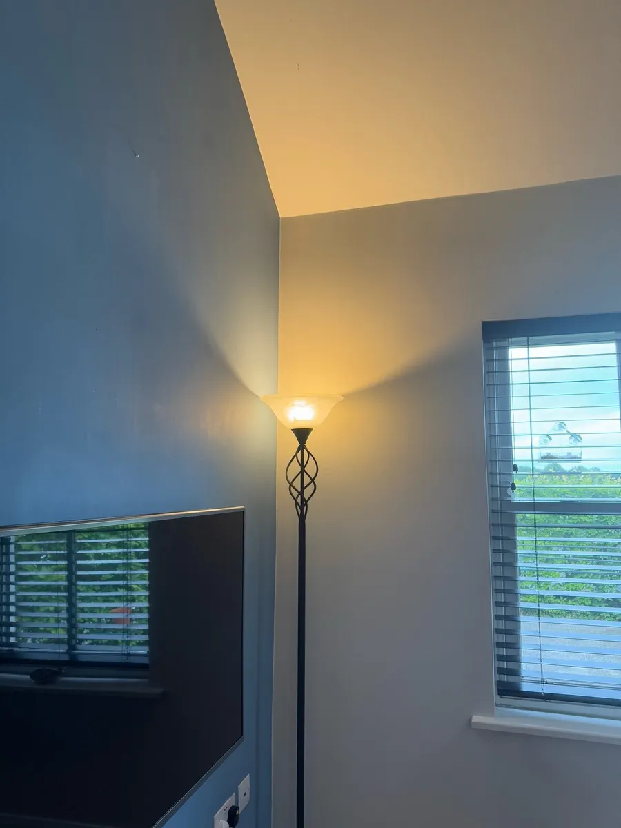 Floor lamps - wrought iron & frosted glass shades - Image 4