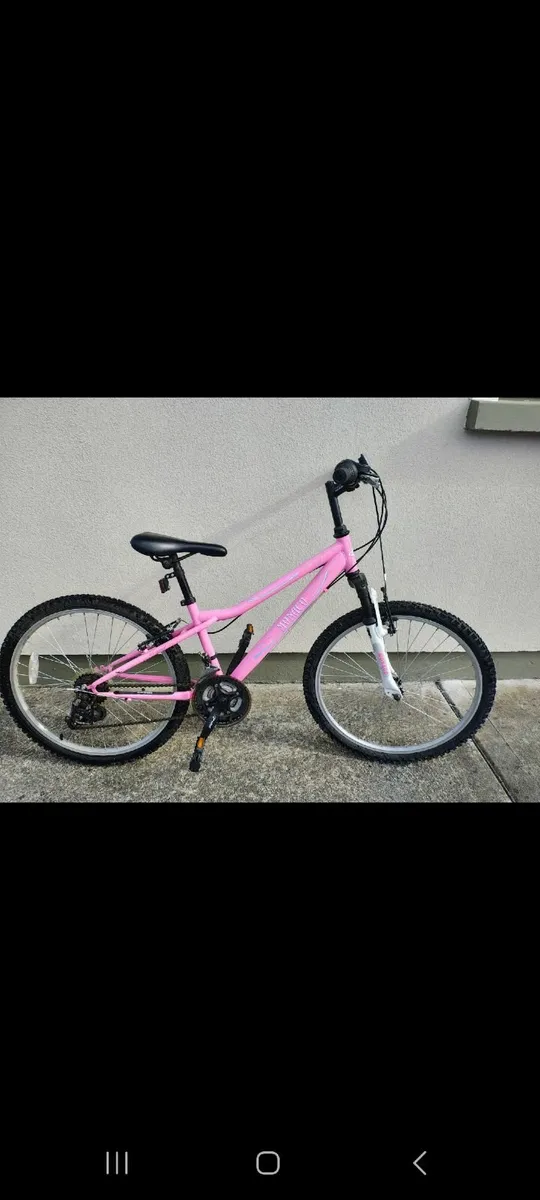 Mountain Bike - Image 3