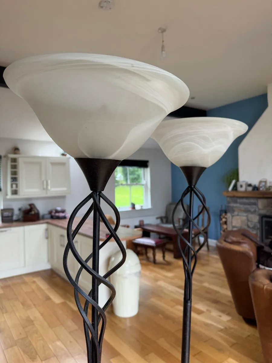 Floor lamps - wrought iron & frosted glass shades - Image 1