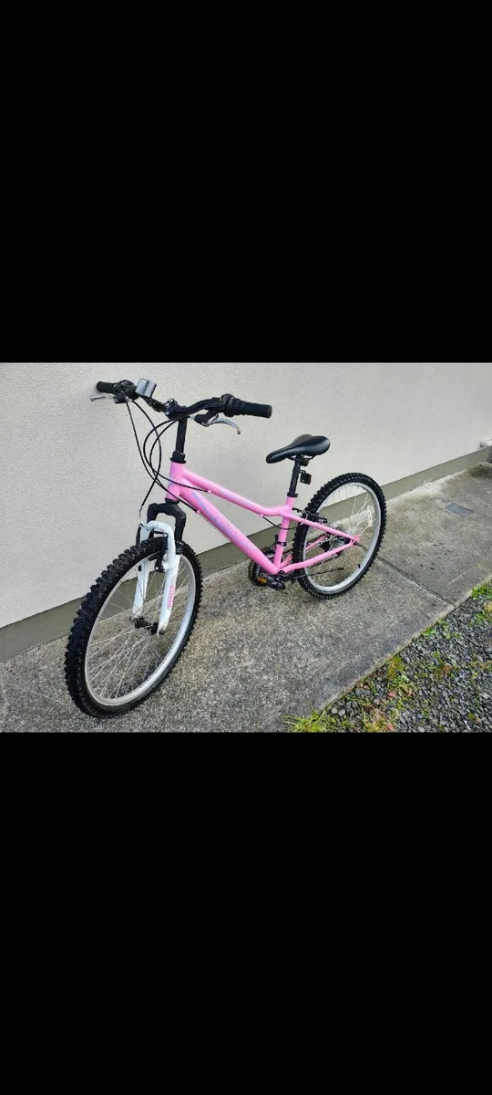 Mountain Bike - Image 1