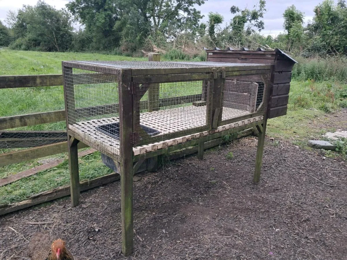 Duck Coop