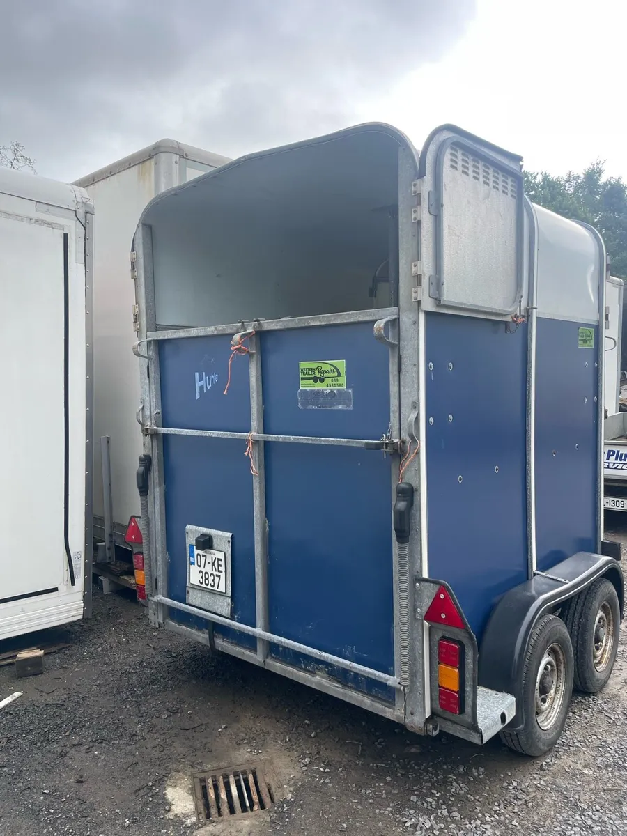 Ifor Williams 505 horse box - Image 3