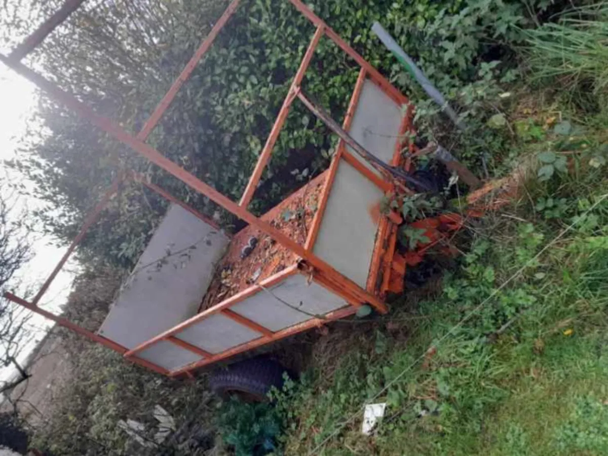 Tipping small garden trailer - Image 1