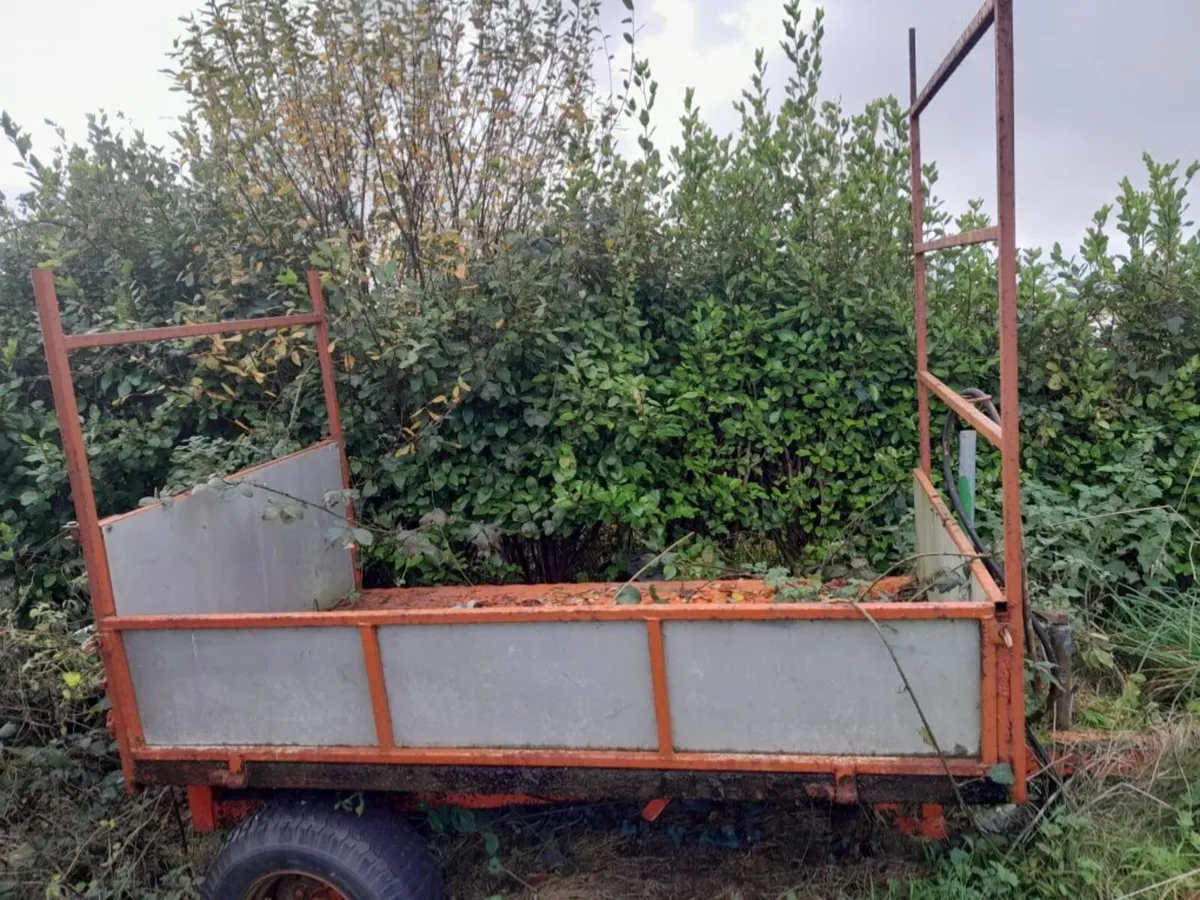 Tipping small garden trailer - Image 2