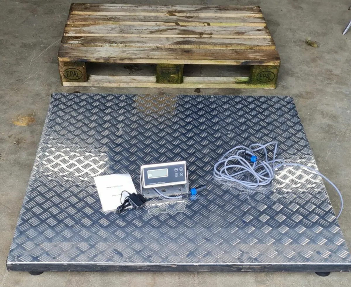 PALLET SCALES 3T - Image 2