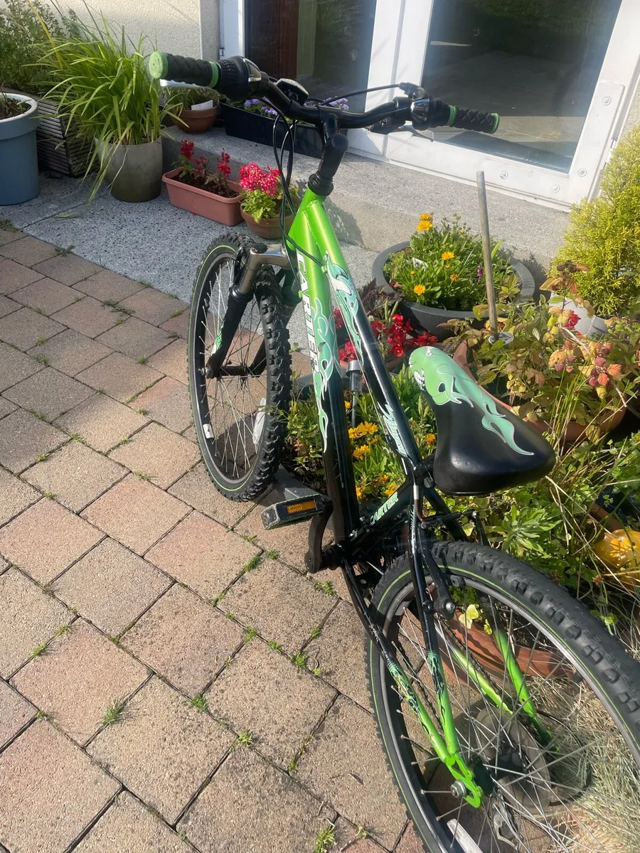 Bike - Image 1