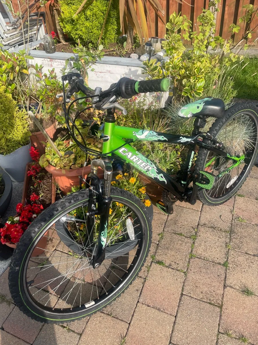 Bike - Image 2