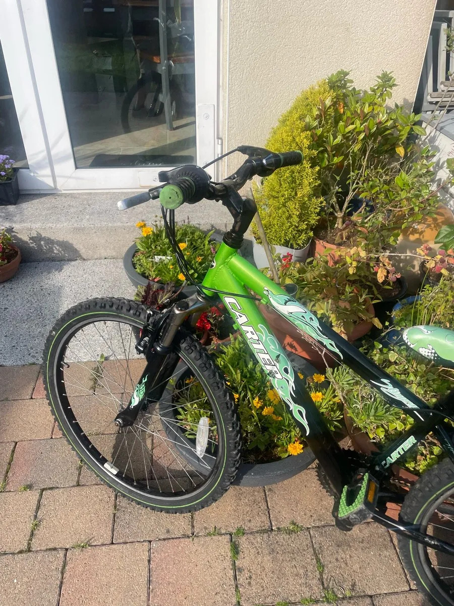 Bike - Image 3