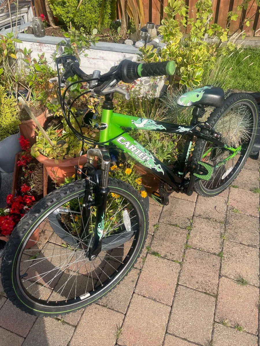 Bike - Image 4