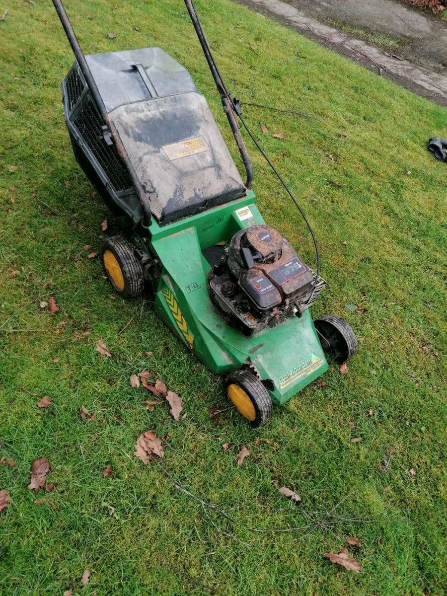 Lawnmower - Image 1