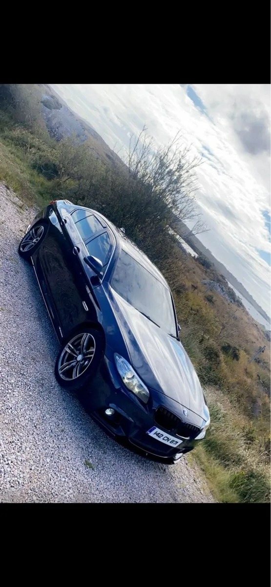2014 BMW 520d - Image 2