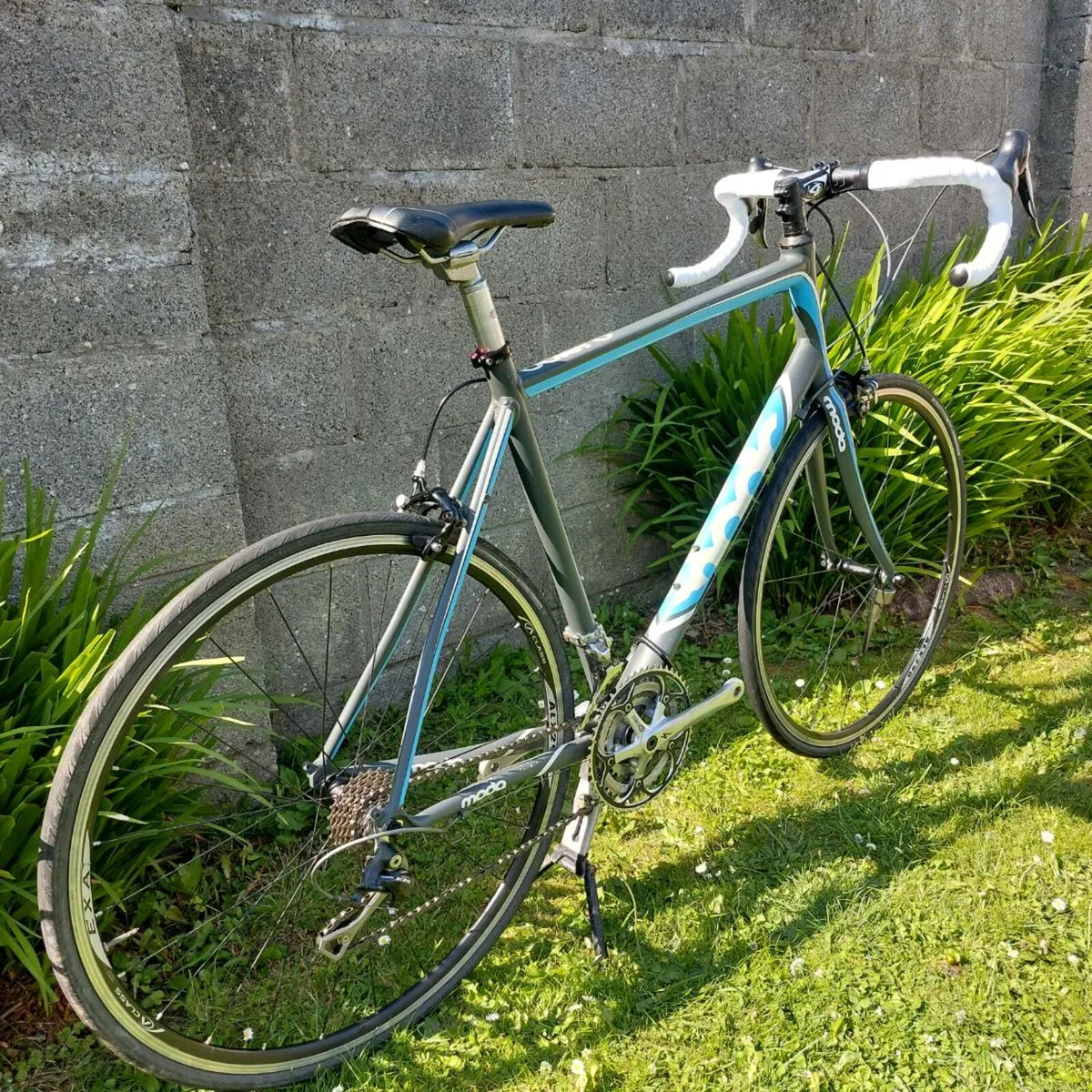 Moda Bolero Road Bike - Size 58cm/XL - Shiamno 105 - Image 4