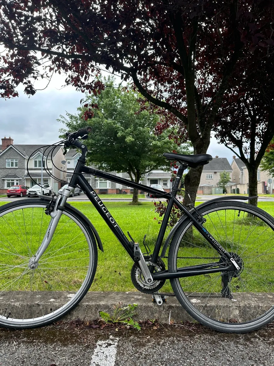 Bike - Image 1