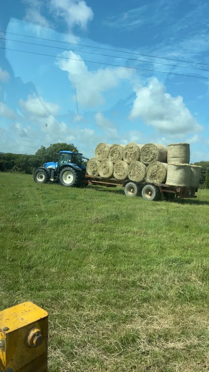 Hay - Image 2