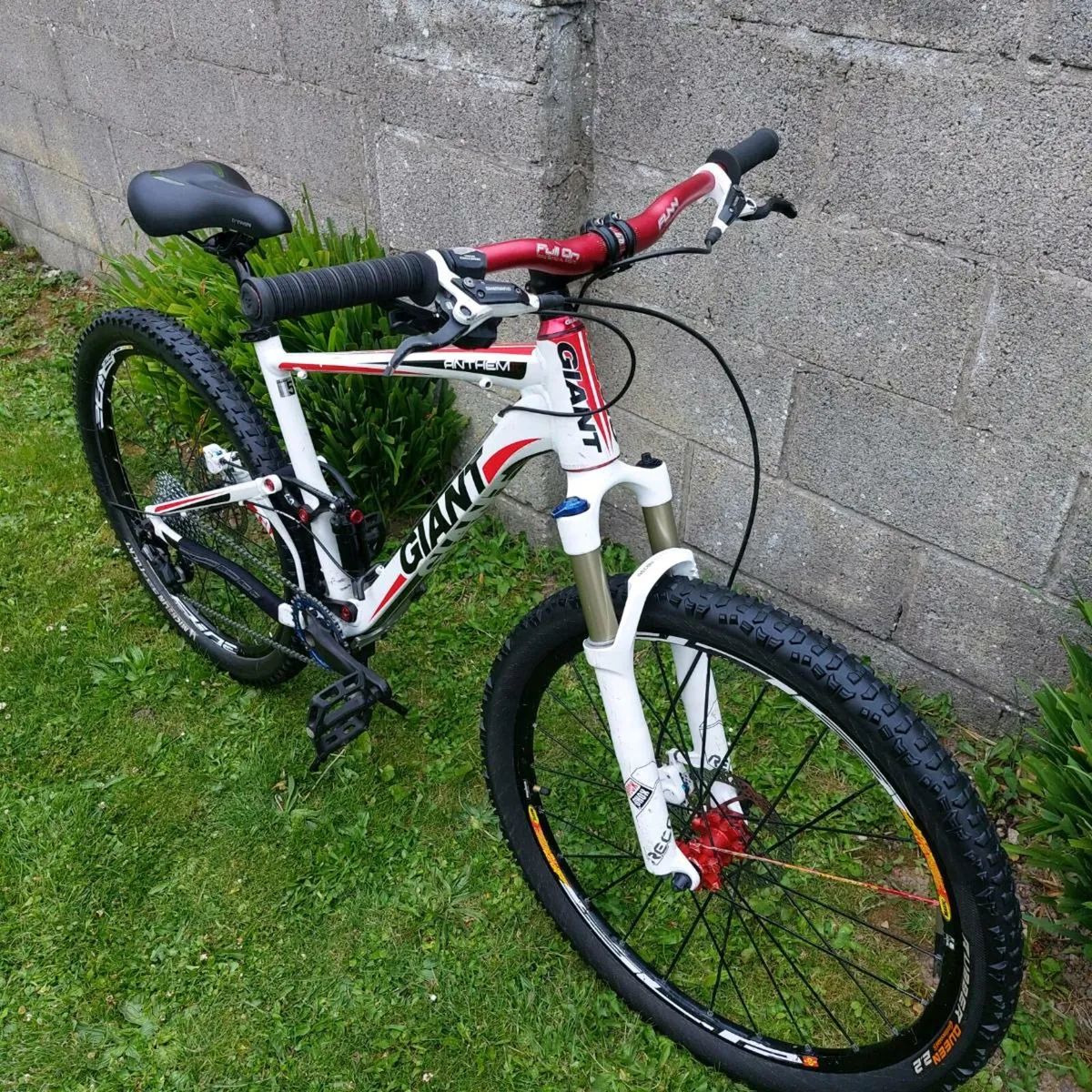 Giant Anthem X - Size Medium - Fully Serviced MTB - Image 1