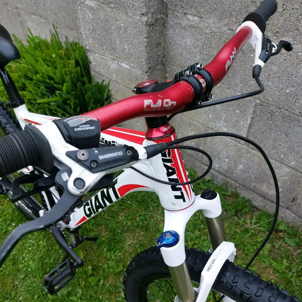 Giant Anthem X - Size Medium - Fully Serviced MTB - Image 4