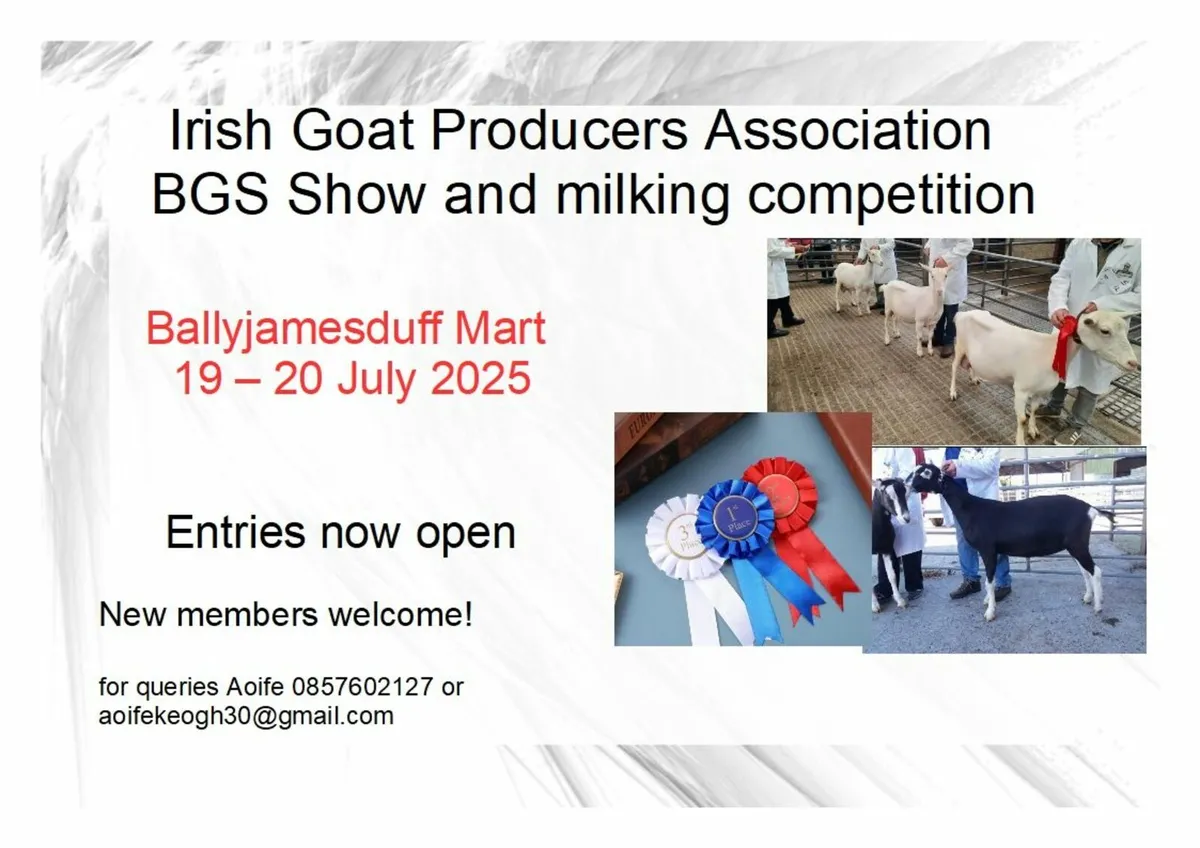 Irish Goat Producers Association Show 2025