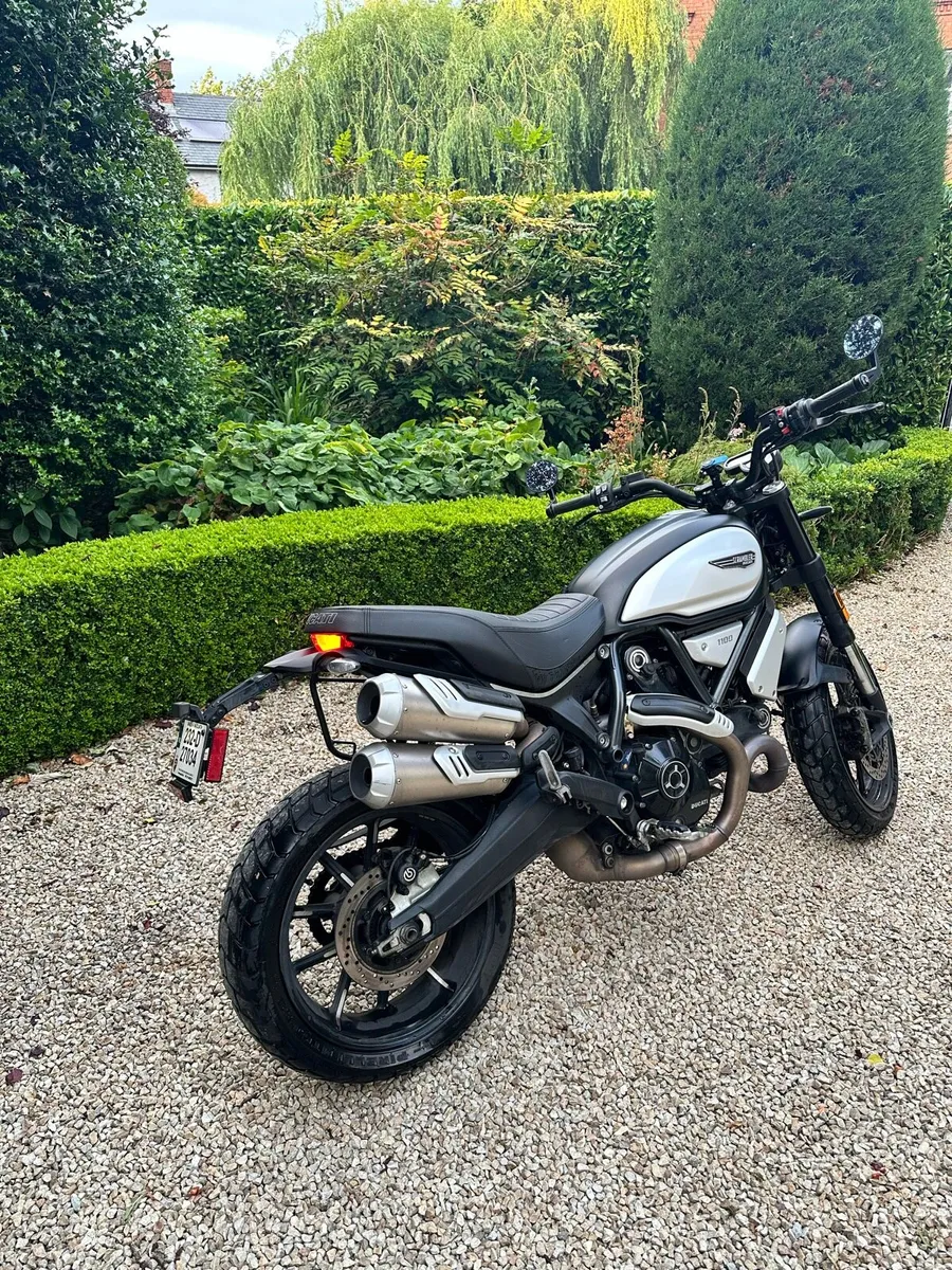 Ducati Scrambler 1100 Dark Pro - Image 2