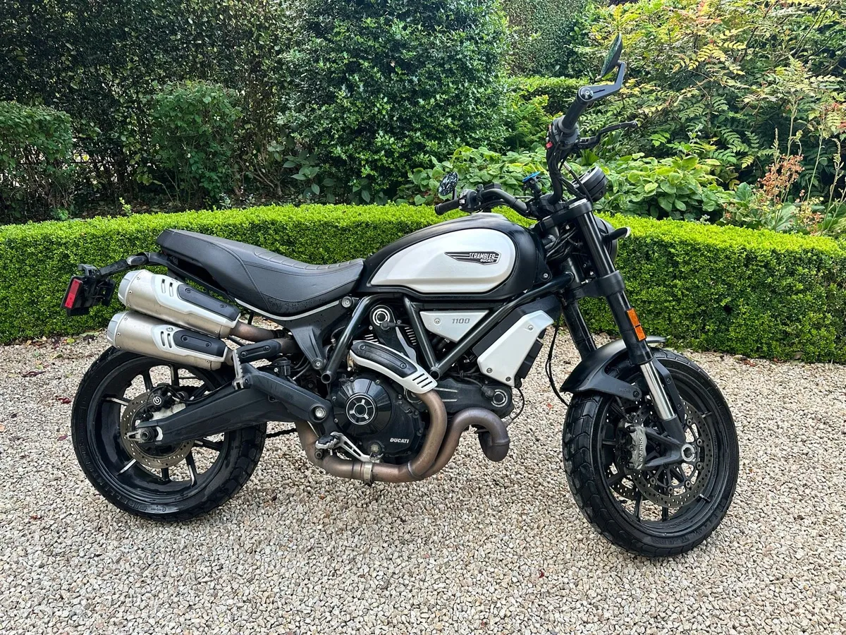 Ducati Scrambler 1100 Dark Pro - Image 1