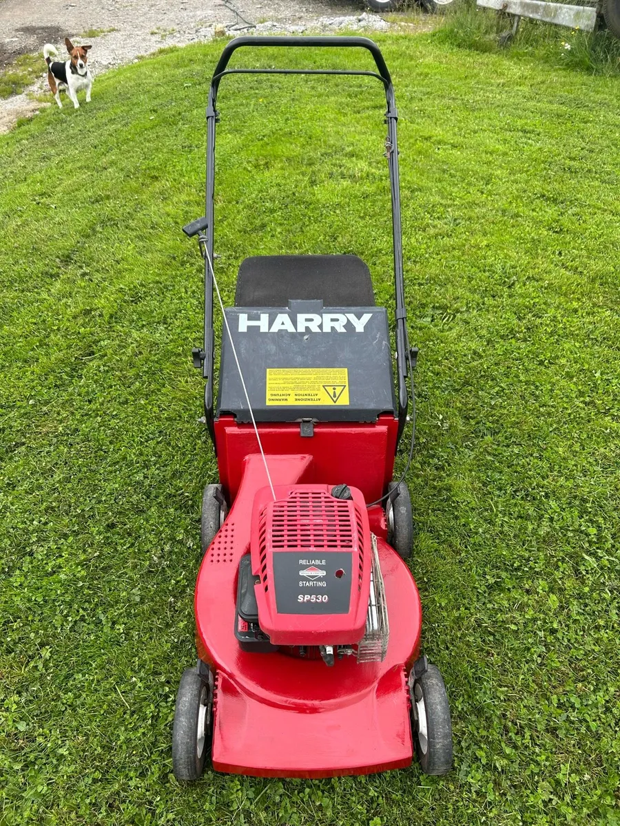 Harry 19” push lawnmower - Image 1