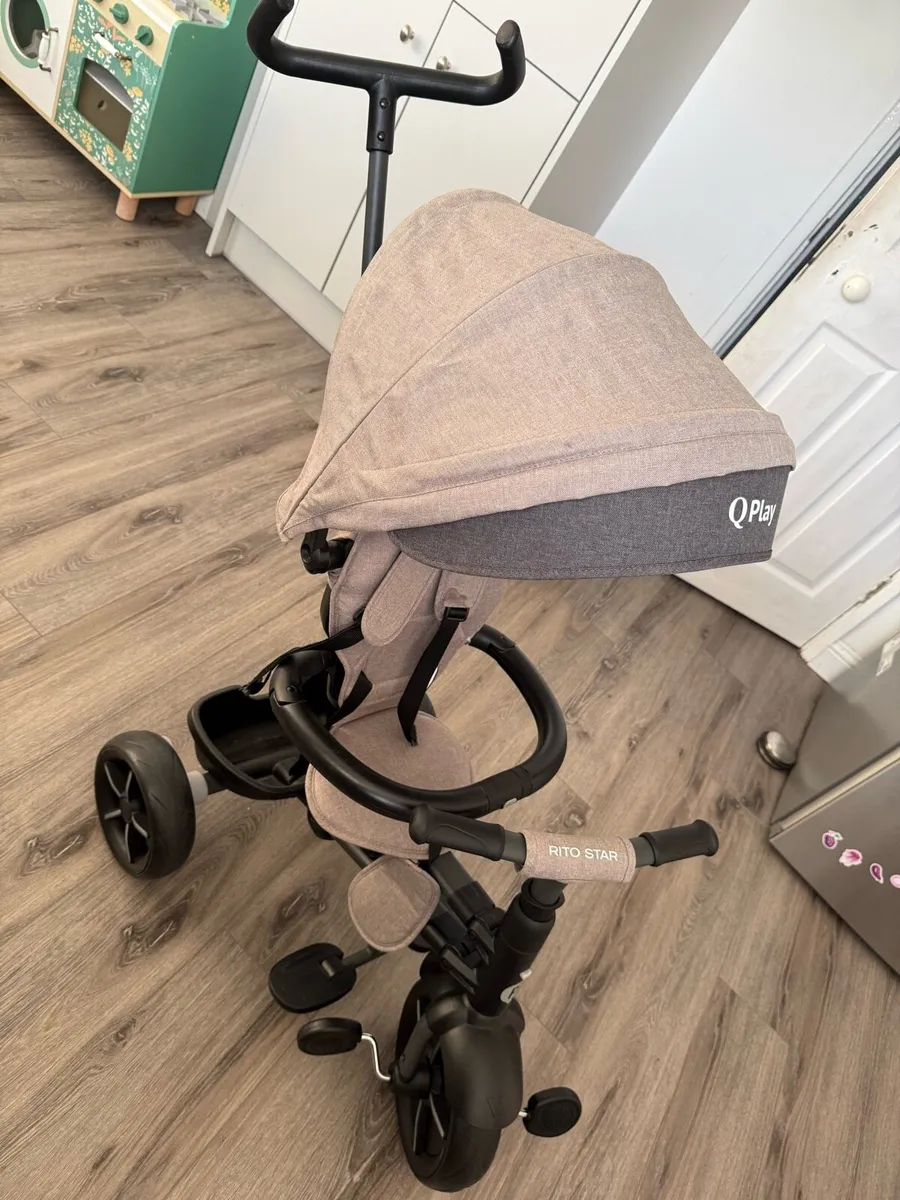 Trike - Image 1