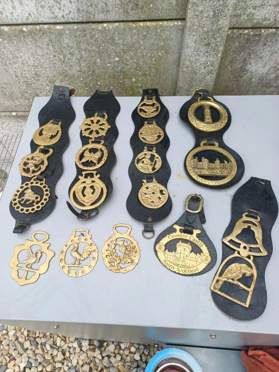 Collection of Antique Horse Brasses - Image 1