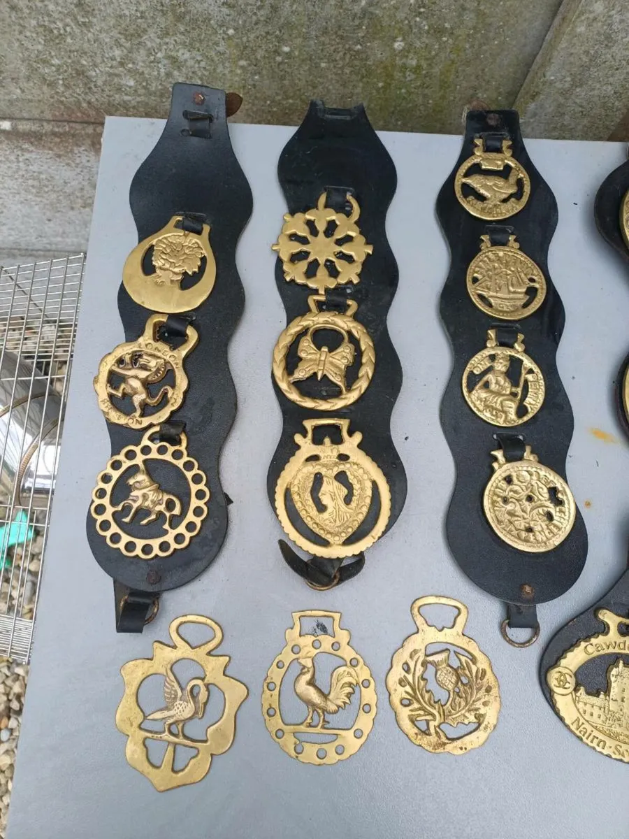 Collection of Antique Horse Brasses - Image 2