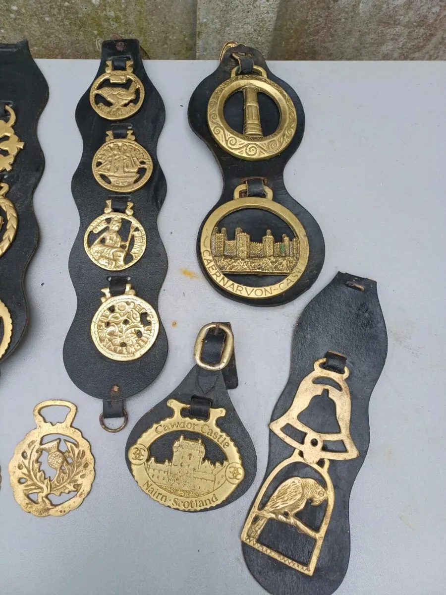 Collection of Antique Horse Brasses - Image 3