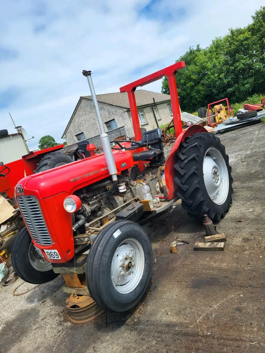 35X  Massey Ferguson - Image 2