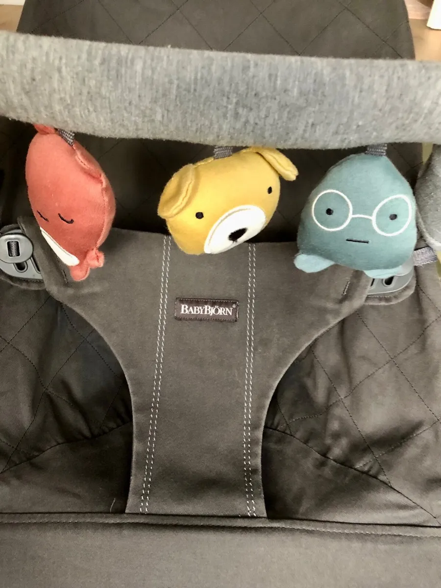 Baby bjorn bouncer - Image 2