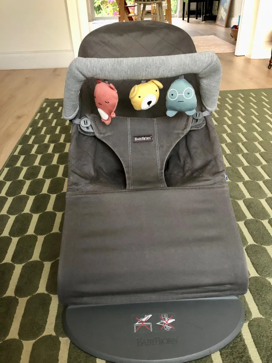 Baby bjorn bouncer - Image 3