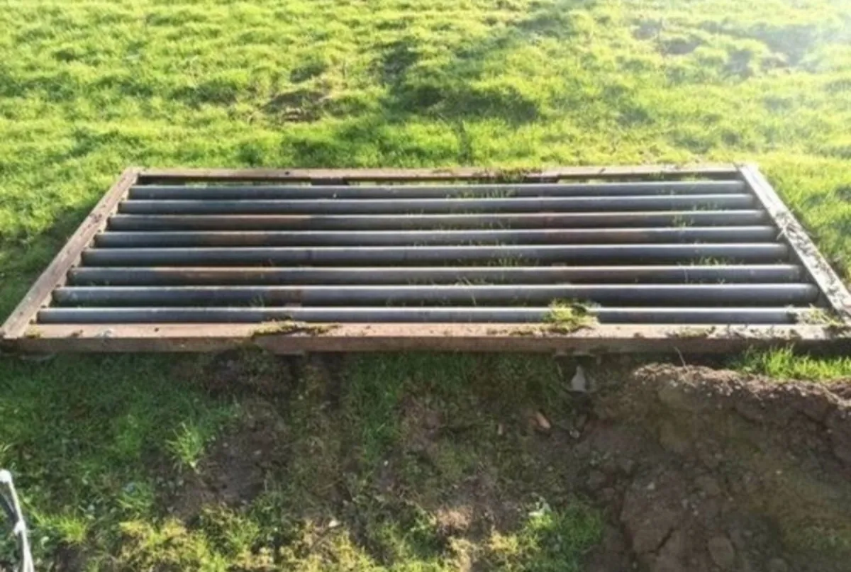 Cattle grid - Image 1