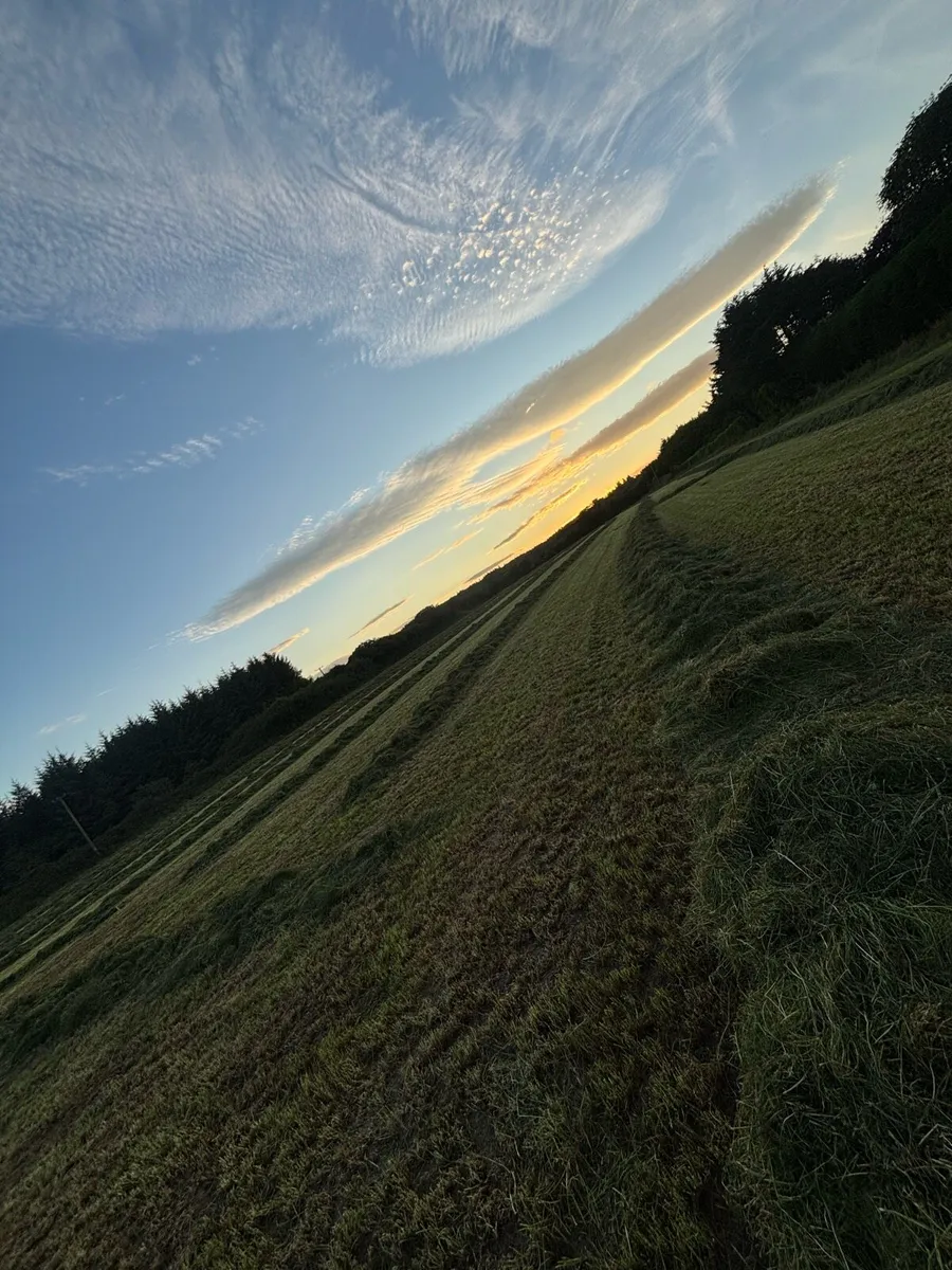 First and second cut silage - Image 1