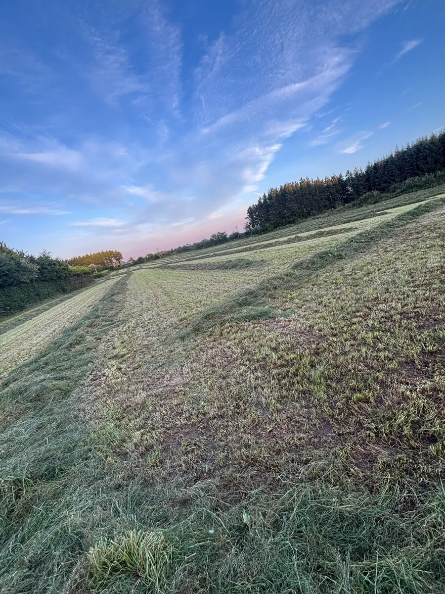 First and second cut silage - Image 2