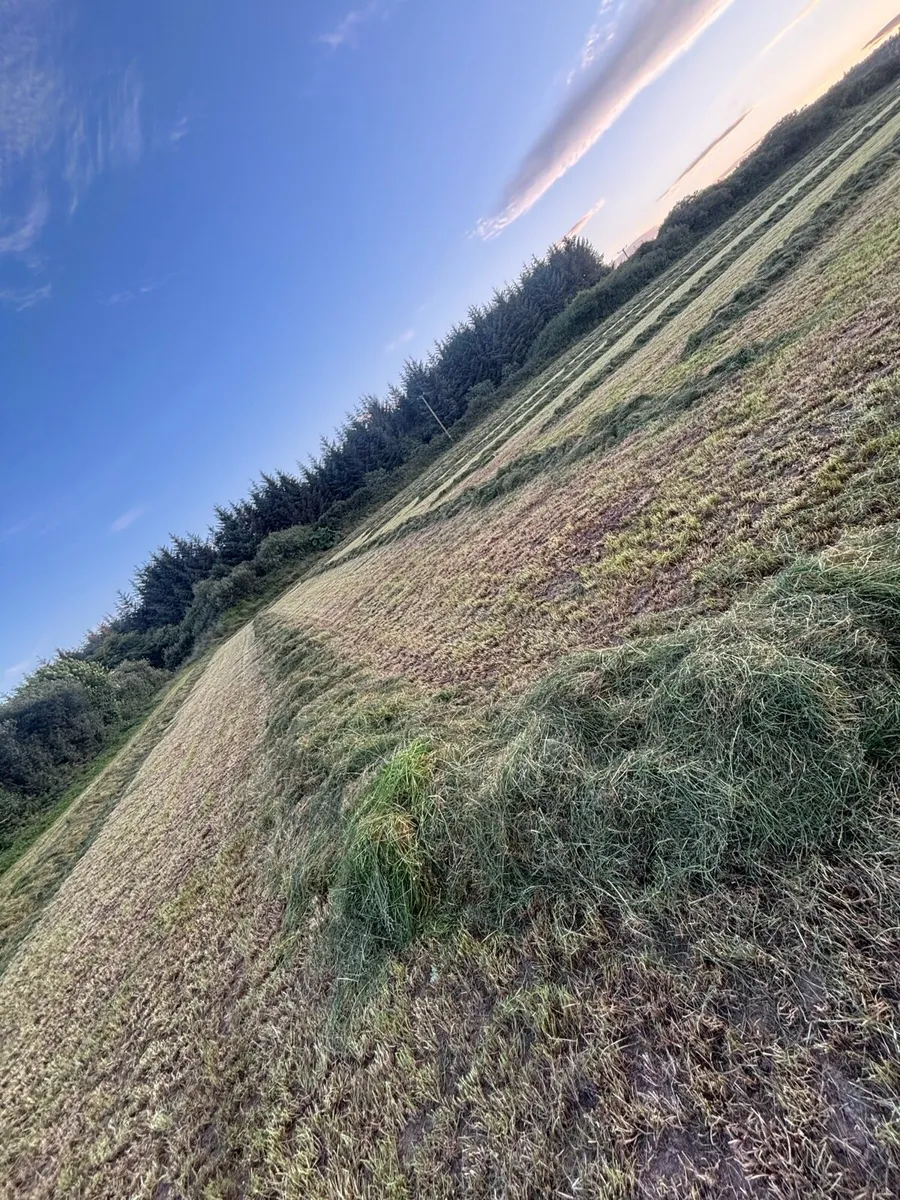 First and second cut silage - Image 3