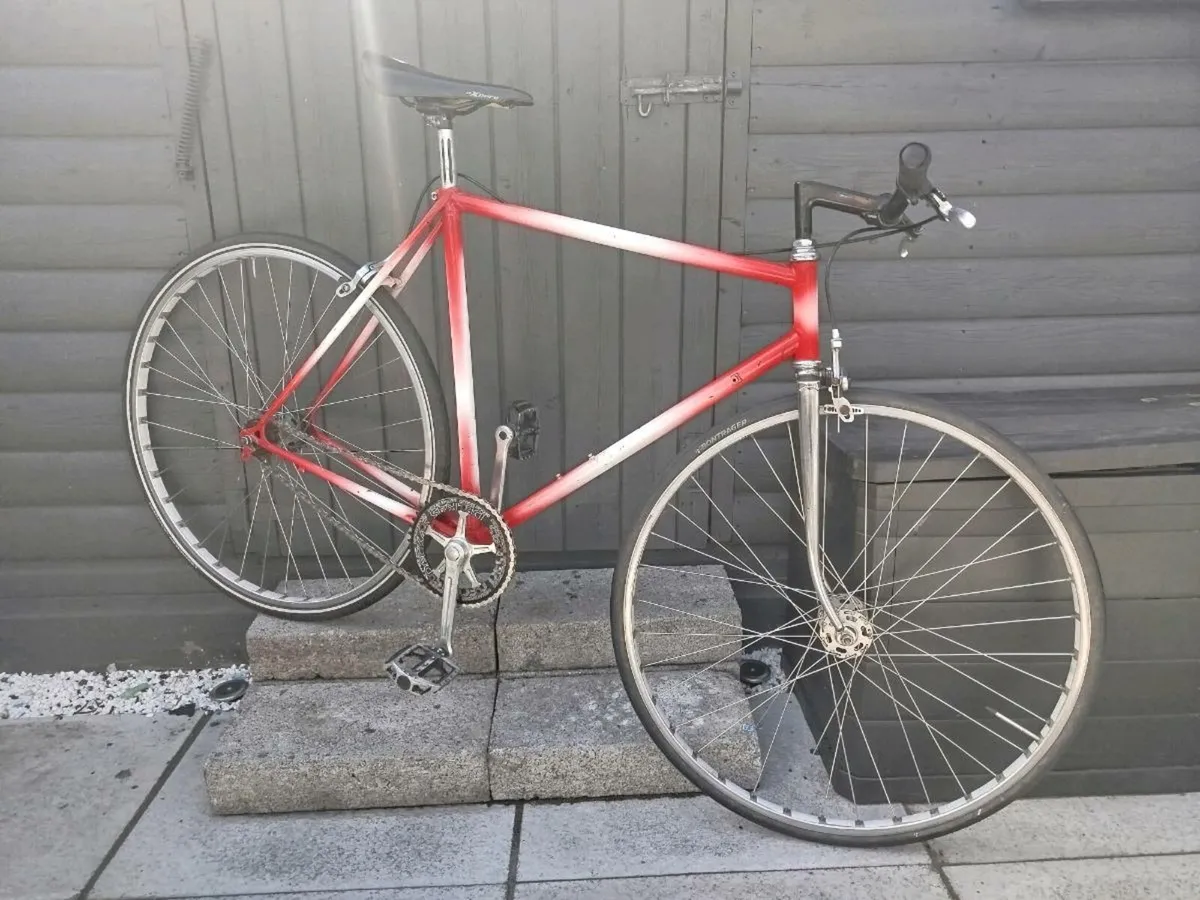 Fixed gear bike - must see - Image 1