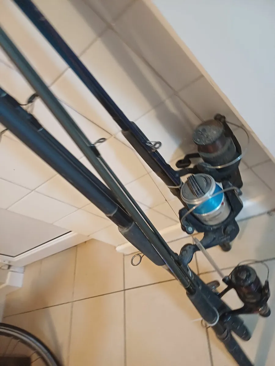 FREE FREE FREE Fishing rod & real - Image 2